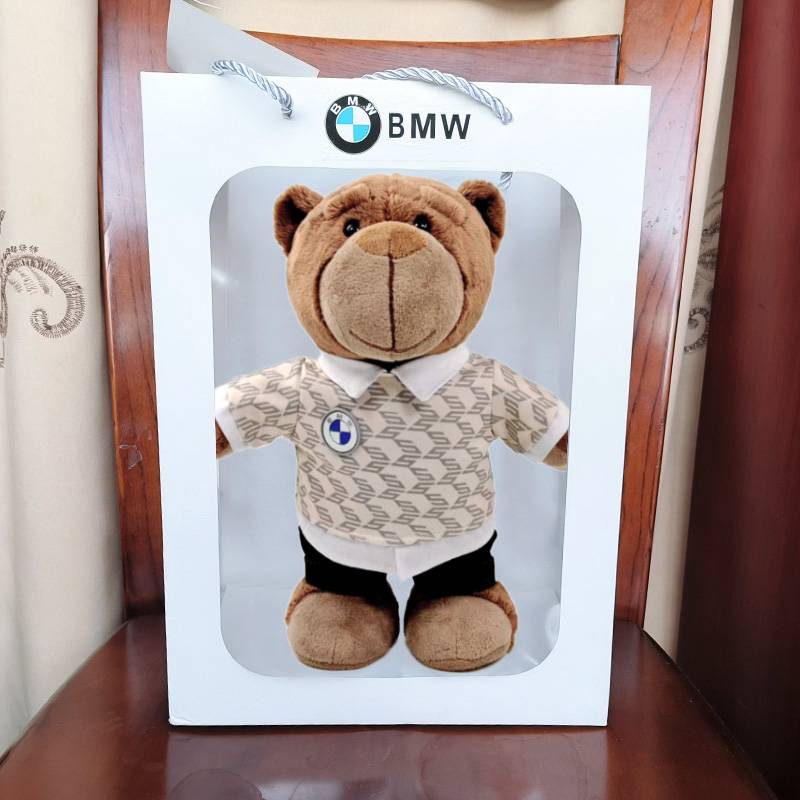 Old bear plus gift bag